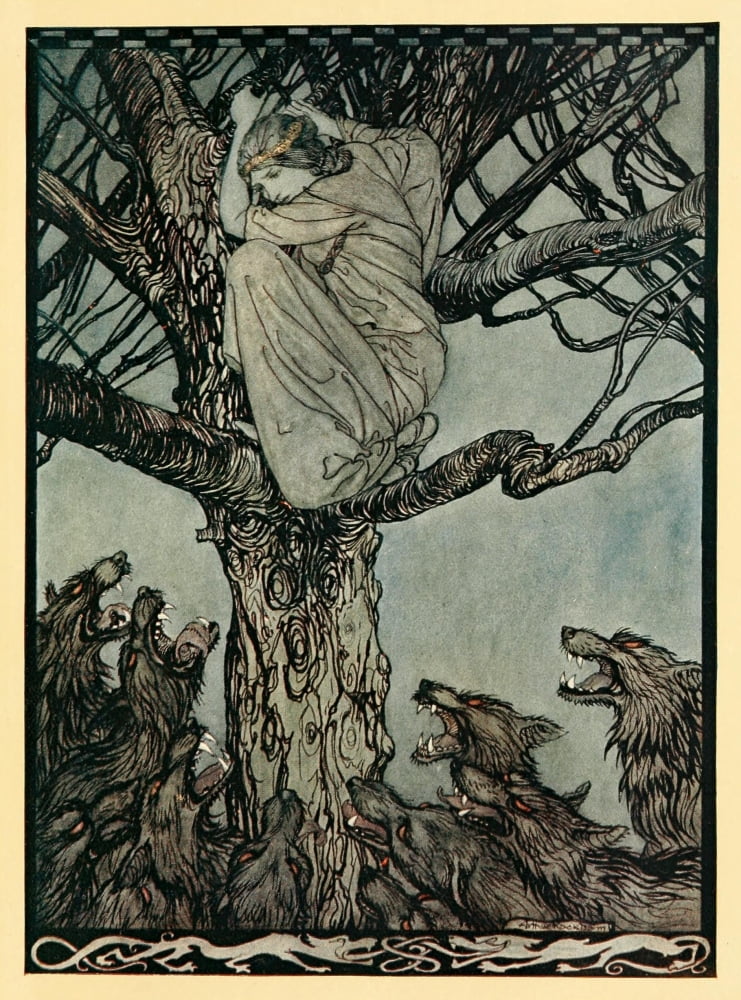 Irish Fairy Tales 1920 Wooing of Becfola Canvas Art - A Rackham (18 x 24)