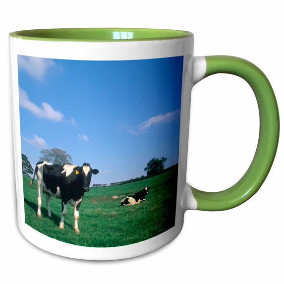 3drose, Irish Farmland with Cows Near Dublin Ireland - Eu15 Bba0027 - Bill Bachmann, 11oz Two-tone Green Mug