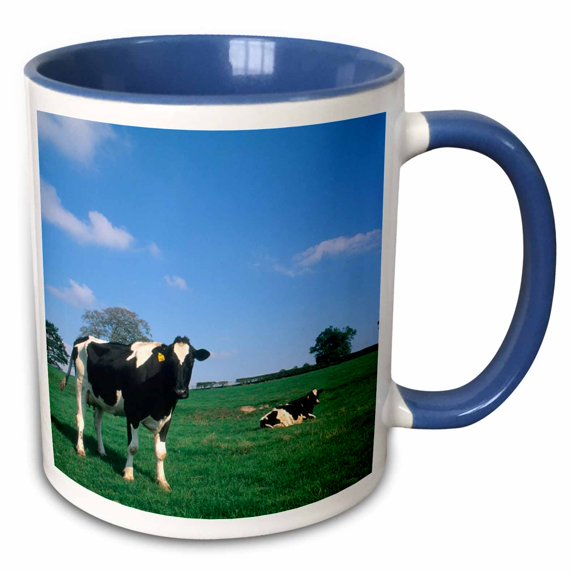 3drose, Irish Farmland with Cows Near Dublin Ireland - Eu15 Bba0027 - Bill Bachmann, 15oz Two-tone Blue Mug