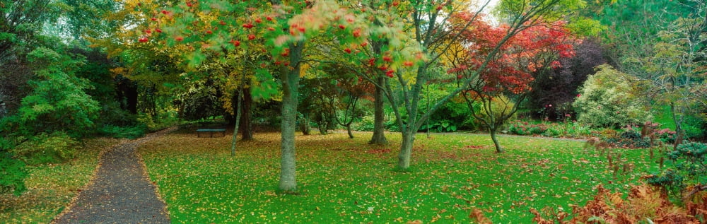 Irish Gardens Canvas Art - The Irish Image Collection Design Pics (44 x 14)