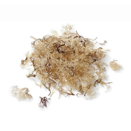 NY SPICE SHOP Irish Sea Moss St. Lucia - 1 Pound