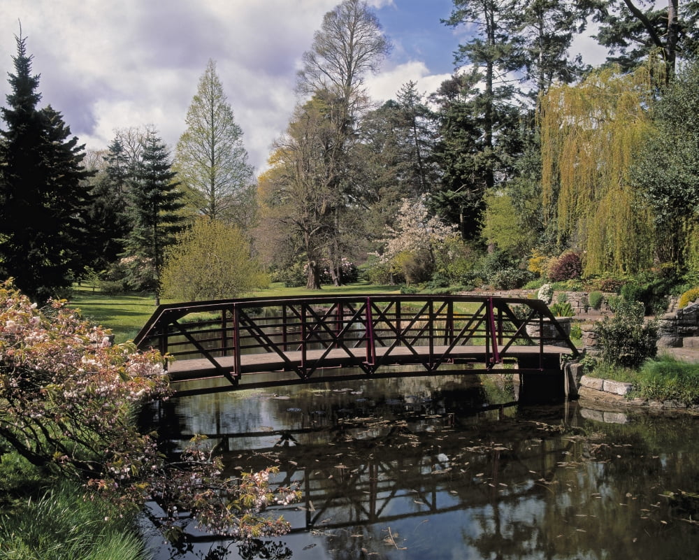 Irish National Botanic Gardens Dublin Co Dublin Ireland Bridge Over Lily Lake Canvas Art - The Irish Image Collection Design Pics (16 x 12)