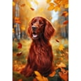thumbnail image 1 of Irish  Setter -  Best of Breed DCR Falling Leaves Garden Flag, 1 of 1