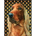 thumbnail image 1 of Irish Setter Candy Corn Halloween Flag Garden Size, 1 of 1