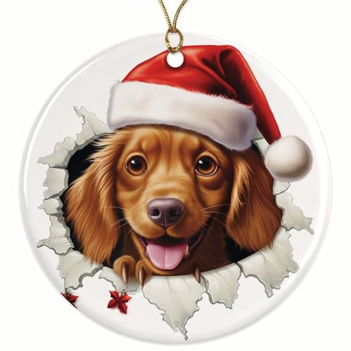 Irish Setter Dog Breed Ornament - Funny Dog Breakout Effect - for Dog Parent, Mom, Dad - Over 100 Designs to Choose from - 2.8" Round - Gold String Included - UV Printed Design - BMCO0288