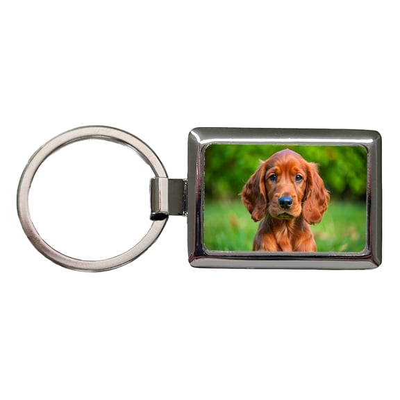 Irish Setter Dog Puppy Photo Metal Rectangle Keychain
