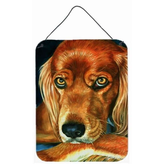 Irish Setter Serious Wall and Door Hanging Prints