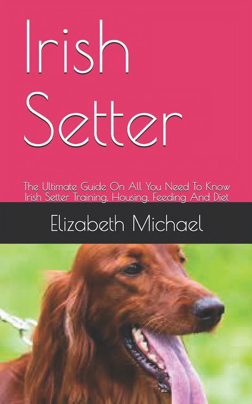 Irish Setter The Ultimate Guide On All You Need To Know Irish Setter