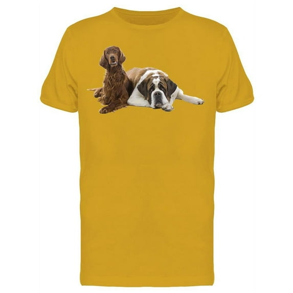 Irish Setter With Saint Bernard Tee Men's -Image by Shutterstock