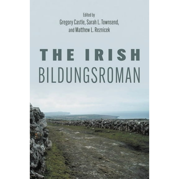 Irish Studies The Irish Bildungsroman, (Paperback)