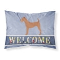 thumbnail image 1 of Irish Terrier Welcome Fabric Standard Pillowcase Blue, 1 of 2