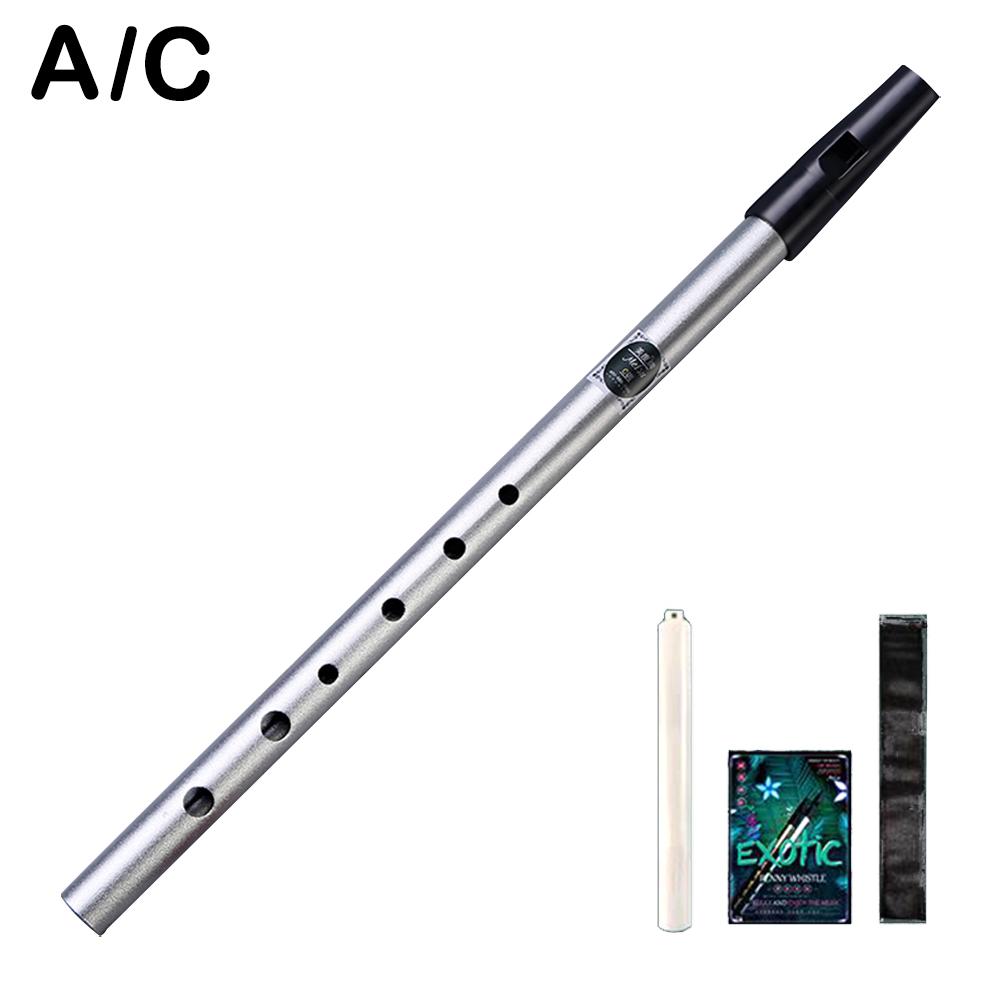 Irish Whistle Flute C/D Key Ireland Tin Penny Whistle Hole 6 Instrument