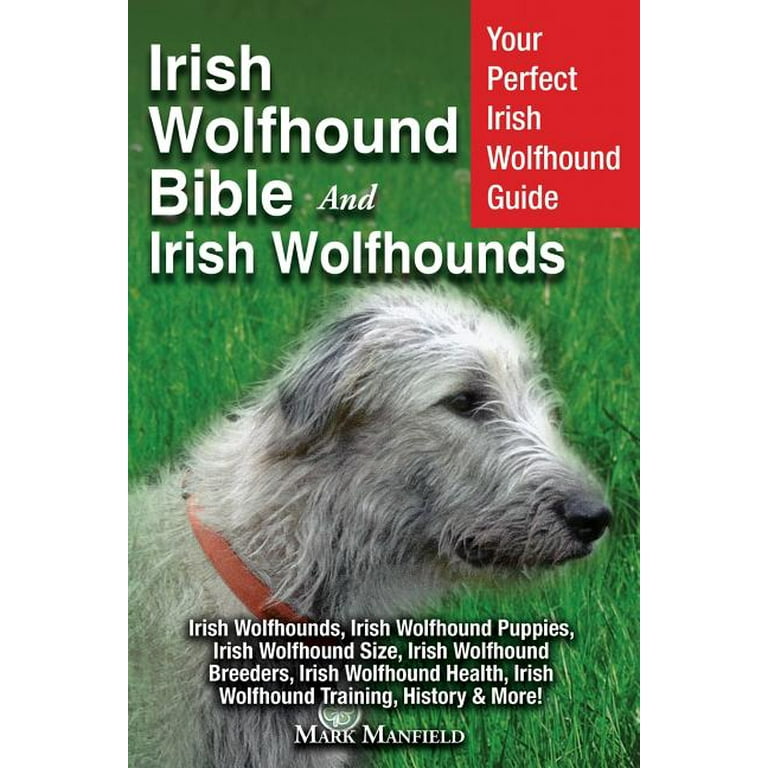 Irish wolfhound cheap litter size