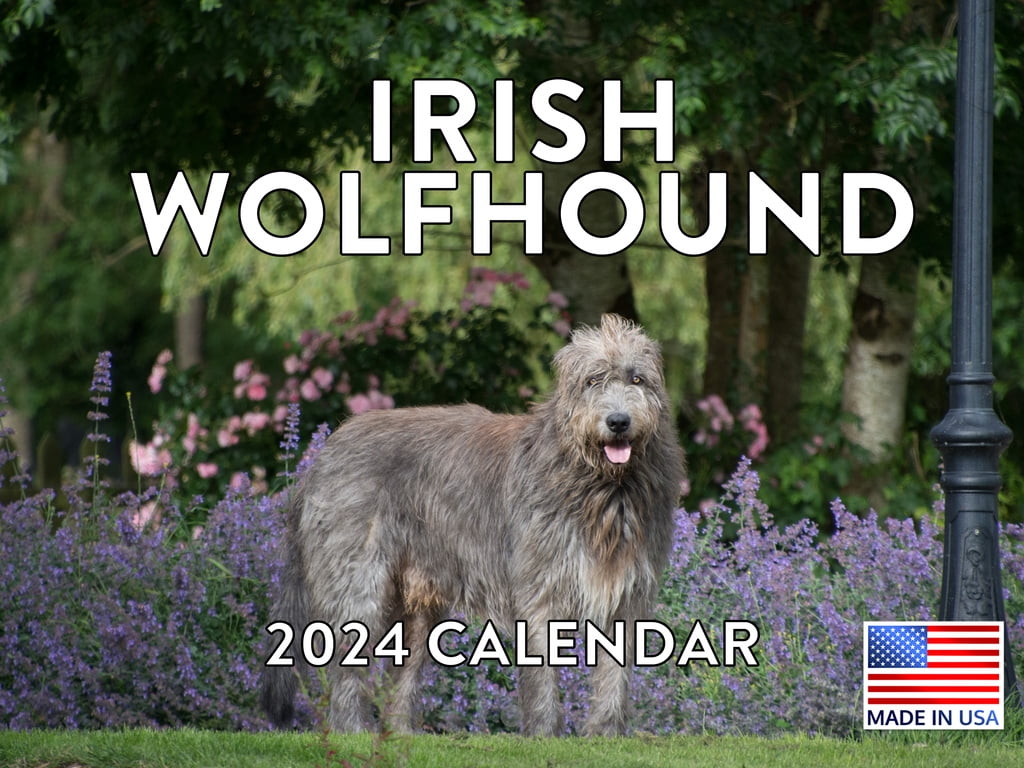 Irish Wolfhound Calendar 2025 aggy karita