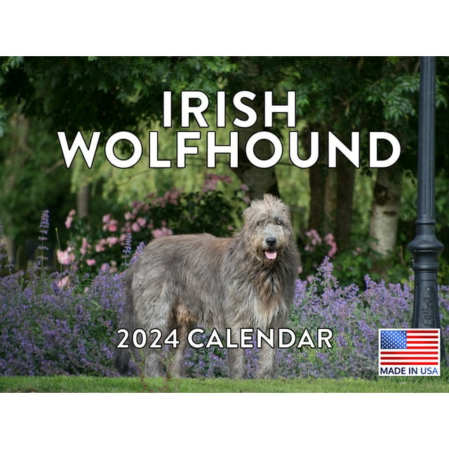 Irish Wolfhound Dog 2024 Wall Calendar