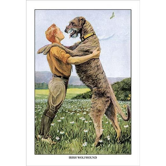 Irish Wolfhound-Fine Art Canvas Print (20" x 30")