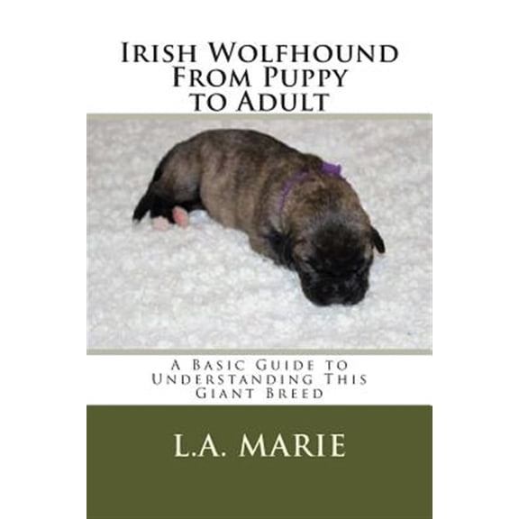 Pre-Owned Irish Wolfhound From Puppy to Adult: A Basic Guide to Understanding This Giant Breed Paperback