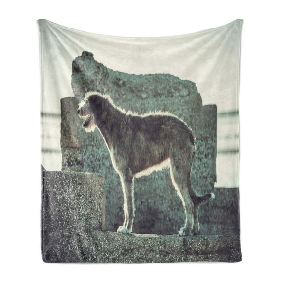Irish Wolfhound Soft Flannel Fleece Blanket, Hunter Dog Standing and Looking at a Thing on Stony Grayish Area, Cozy Plush for Indoor and Outdoor Use, 50" x 60", Dark Taupe Grey Ivory, by Ambesonne