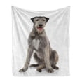 thumbnail image 1 of Irish Wolfhound Soft Flannel Fleece Blanket, Substantial Sized Sight-hound Furry Animal Sitting on Hind Legs, Cozy Plush for Indoor and Outdoor Use, 50" x 60", White and Warm Taupe, by Ambesonne, 1 of 6