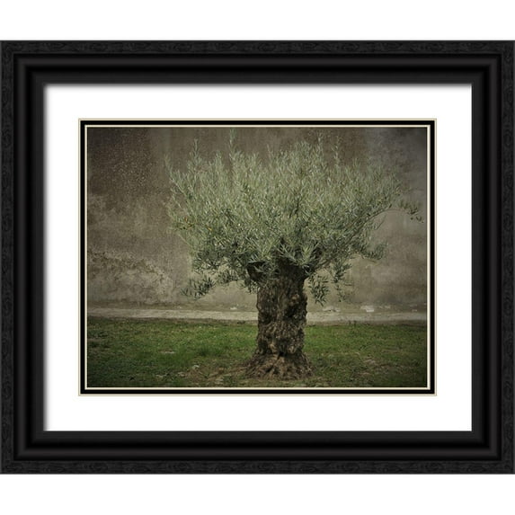 Irmawarth 32x25 Black Ornate Wood Framed with Double Matting Museum Art Print Titled - Olive