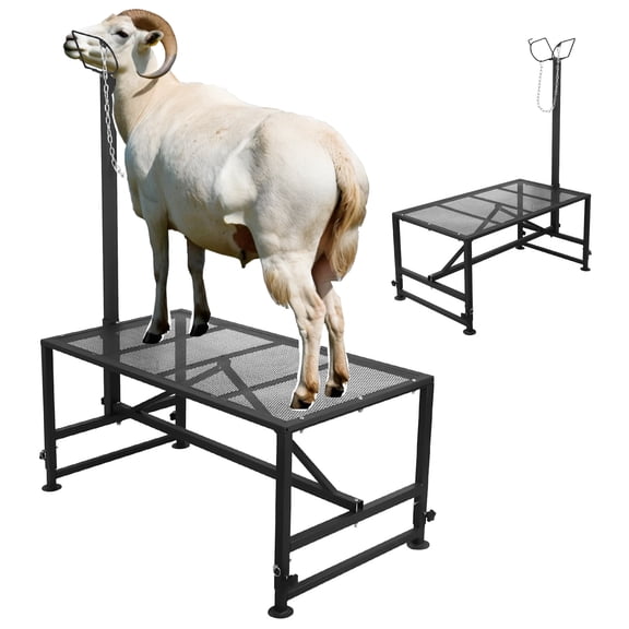 Iron Goat Farm Stand, Height Adjustable 4 Levels 20"-34", Black, Sheep Holding Stand, Livestock Grooming Stand, for Healing, Vet care, Grooming