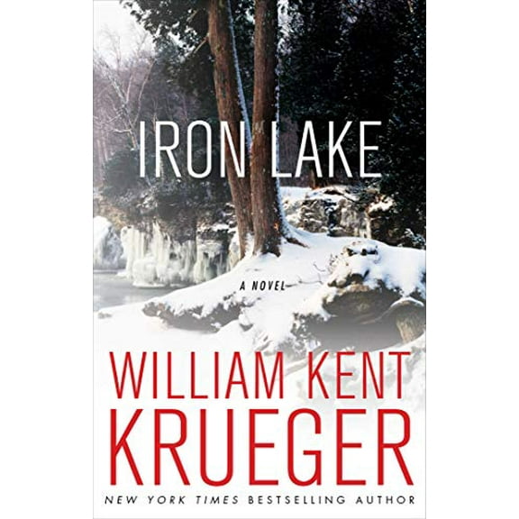 Pre-Owned Iron Lake : A Novel (Paperback) 9781439157282