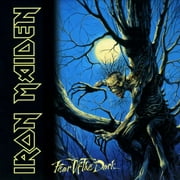 Iron Maiden - Fear of the Dark - Rock - CD Digipak