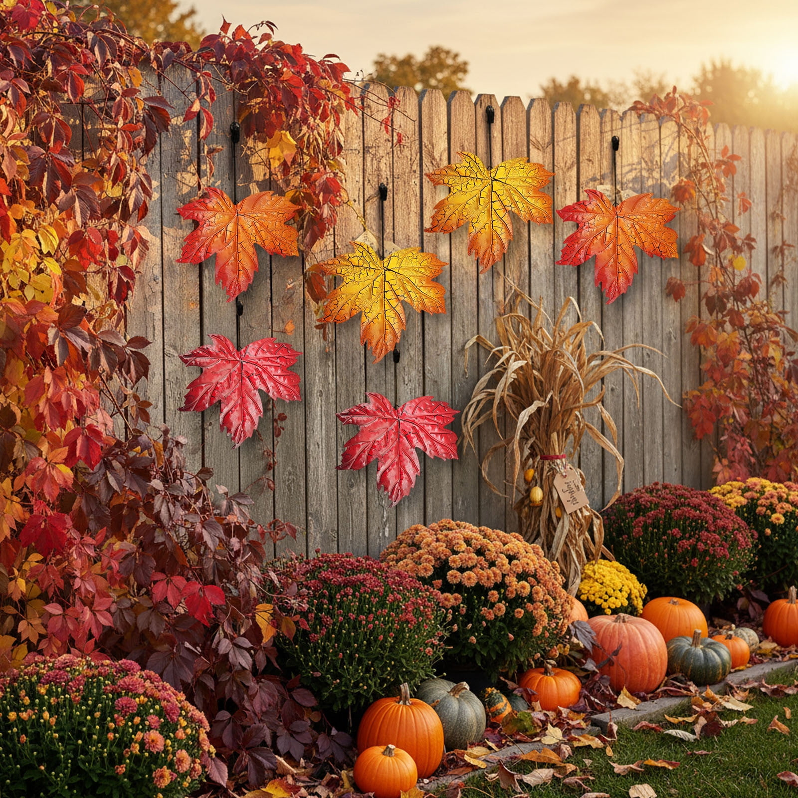 16 Best Indoor Plants for Good Luck, Wealth & Happiness - Indoor Lucky Crack Motiv