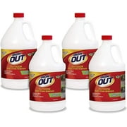 Iron OUT Rust Stain Remover Liquid for Outdoor Surfaces, 4 Gallons