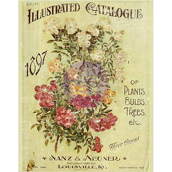 Iron Orchid Designs Decor Transfer Rub-Ons-Nanz Neuner Floral Bouquet, 11"X14"