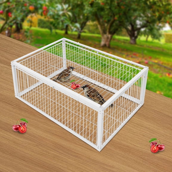 Iron Pigeon Cage with 4 Doors, Secure One-Way Entry, Spacious Design