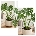 thumbnail image 1 of Iron Plants Support Stakes, 6.29"x5.51" Heavy Duty Garden Trellis for Climbing Plants, Monstera Stabilizer, Pothos Holder, Rust-Resistant Metal, 1 of 6