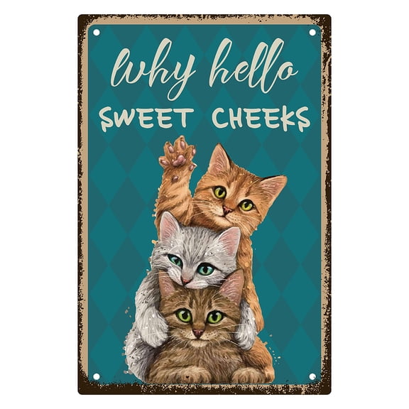 Iron Sign Posters for Home Wall Decoration Rectangle with Word Why Hello Sweet Cheeks Cat Pattern 300x200x2.2mm