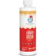 thumbnail image 1 of Sunwarrior Liquid Iron Supplement for Women, Fast-Absorbing Immune Support, Mixed Berry 15.2 fl oz, 1 of 7