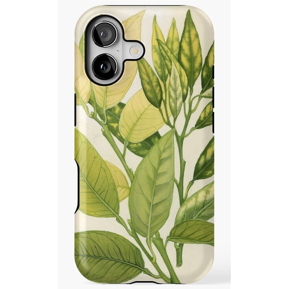 Iron and Zinc Deficiencies Citrus Science Art Phone Case for iPhone 11 12 13 14 15 16 17 Pro Max