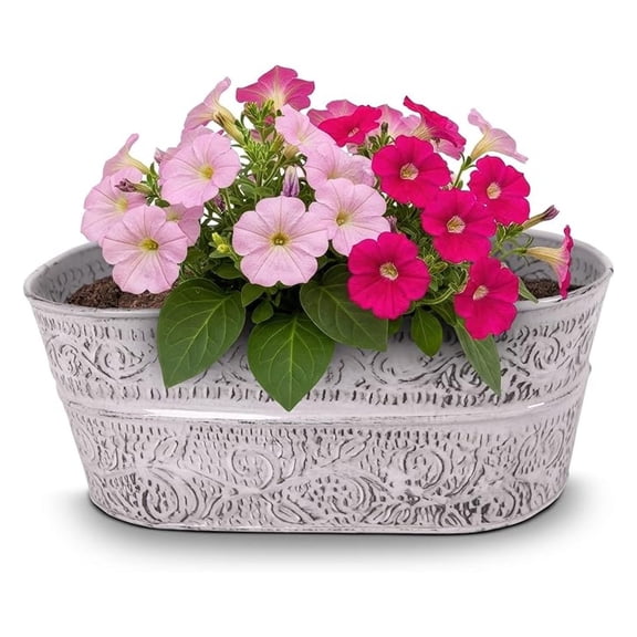 IronLite Ensley 10" Antique White Oval Decorative Metal Planter with HighGloss Embossed Design Indoor Plant Pot with Drainage Hole & Modern Style for Home & Outdoor Use by Robert Allen