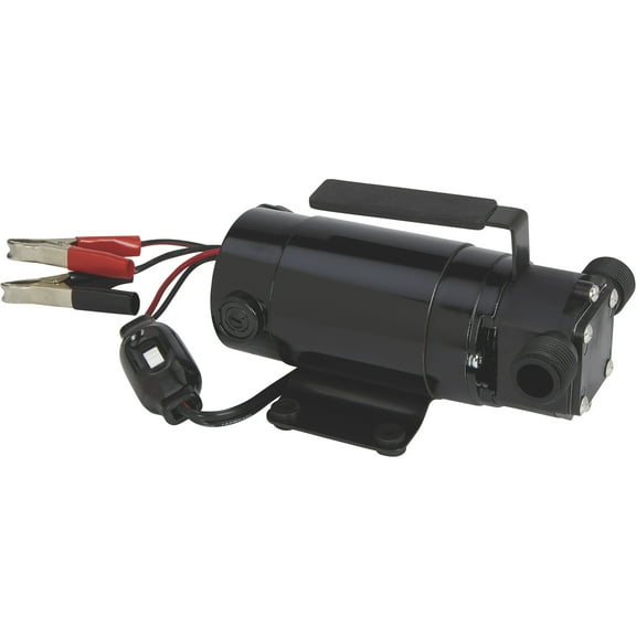 Ironton 12V Water Transfer Pump, 330 GPH, 1/10 HP, 3/4in. Ports