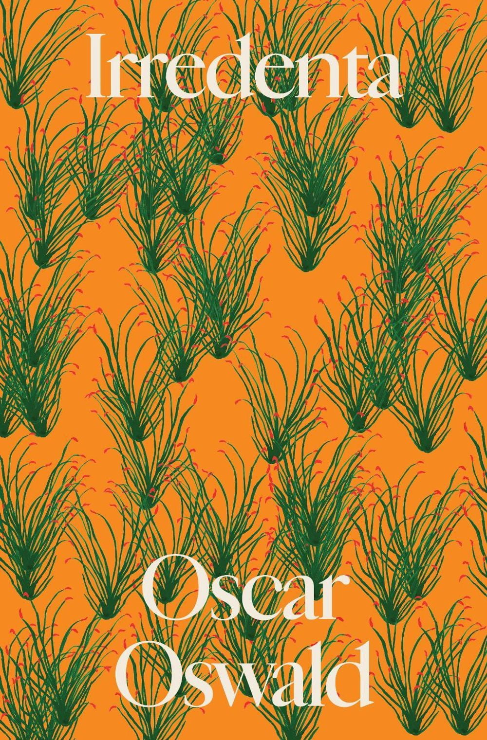 Irredenta (Paperback)