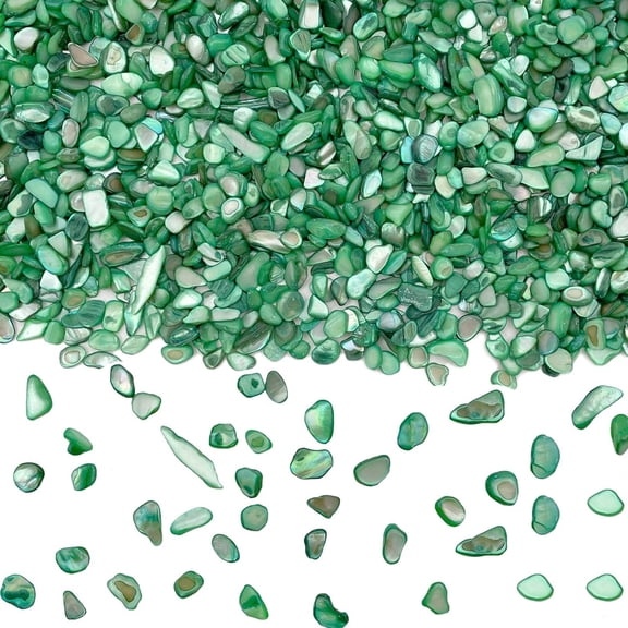 Irregular Natural Crushed Shells Chips,Bexikou 0.66 oz (10.6 lb) Crushed Shells for Crafts,Small Natural Crushed Shells Bulk for Home Décor, Vase Filler, Wedding, DIY(Green)