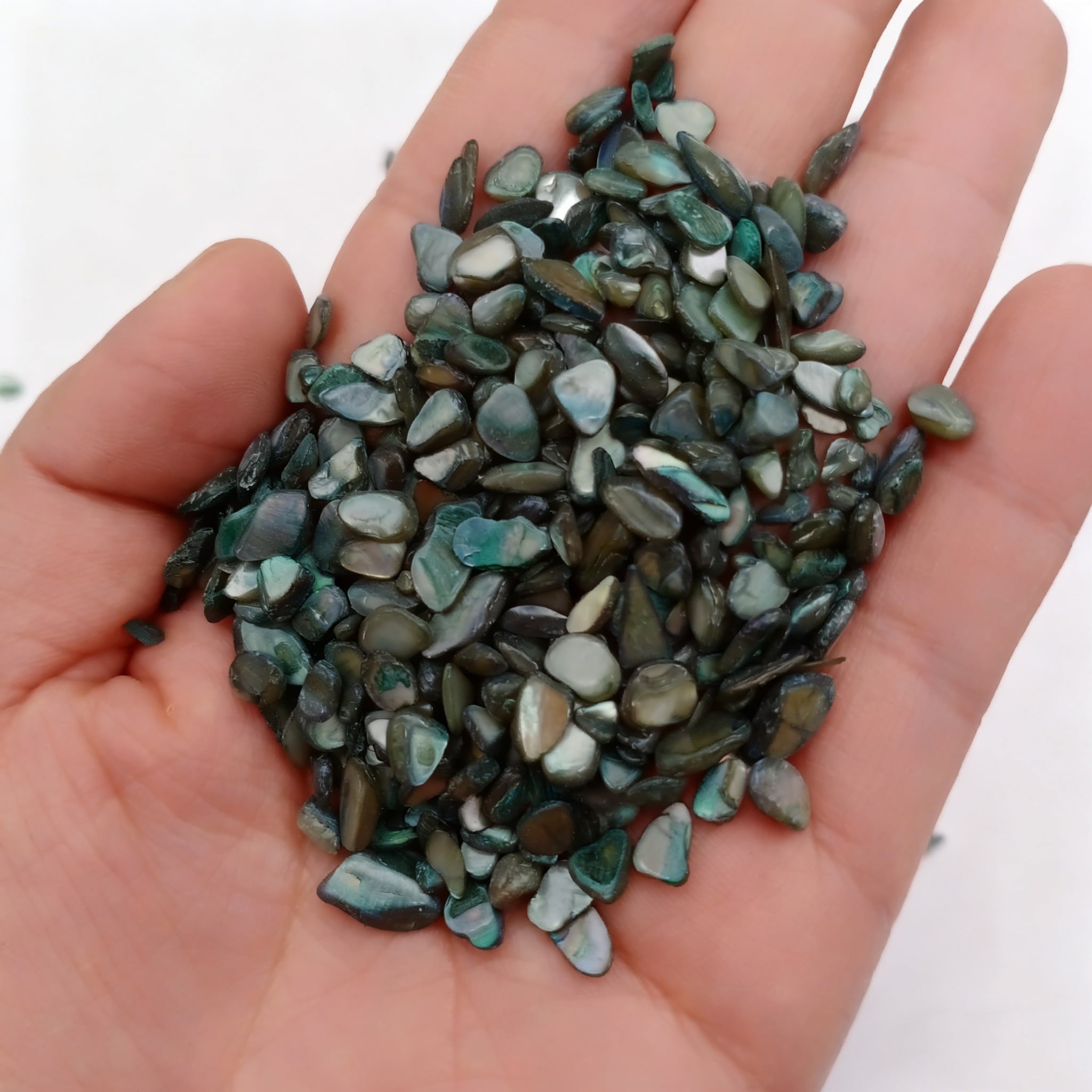 Irregular Shell Chips - Black Sea Shell Beads for Jewelry Making, Vase ...