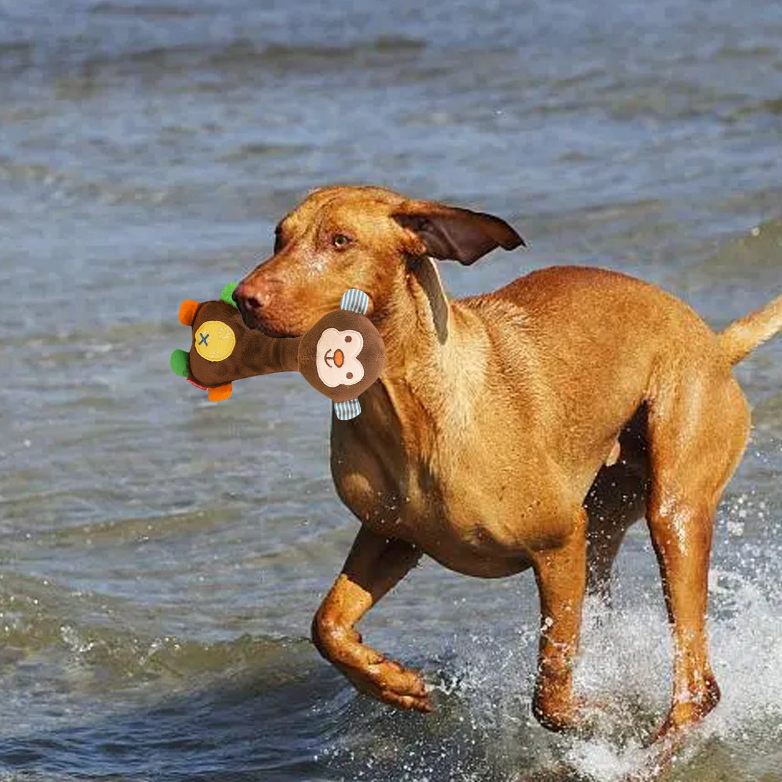 "Irresistible Flavored Corn Scented Dog Chew Toy Entertain Your Furry