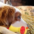 "Irresistible Flavored Corn Scented Dog Chew Toy Entertain Your Furry