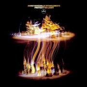 Irreversible Entanglements - Protect Your Light - Music & Performance - CD