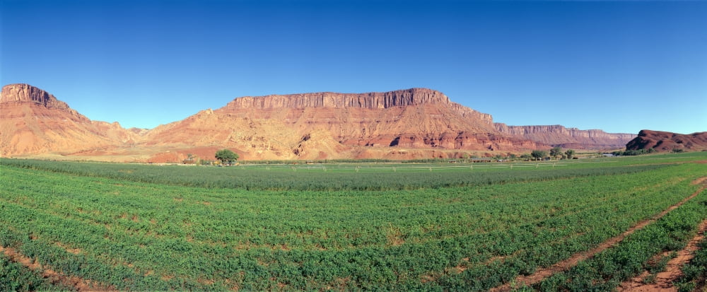 Irrigated field Colorado River and Red Rock along Route 28 Utah Canvas Art - Panoramic Images (36 x 12)