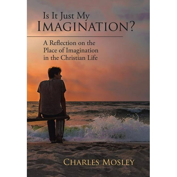 Is It Just My Imagination?: A Reflection on the Place of Imagination in the Christian Life (Hardcover)