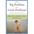 thumbnail image 1 of Pre-Owned Is It a Big Problem or a Little Problem? (Paperback) 0312354126 9780312354121, 1 of 1