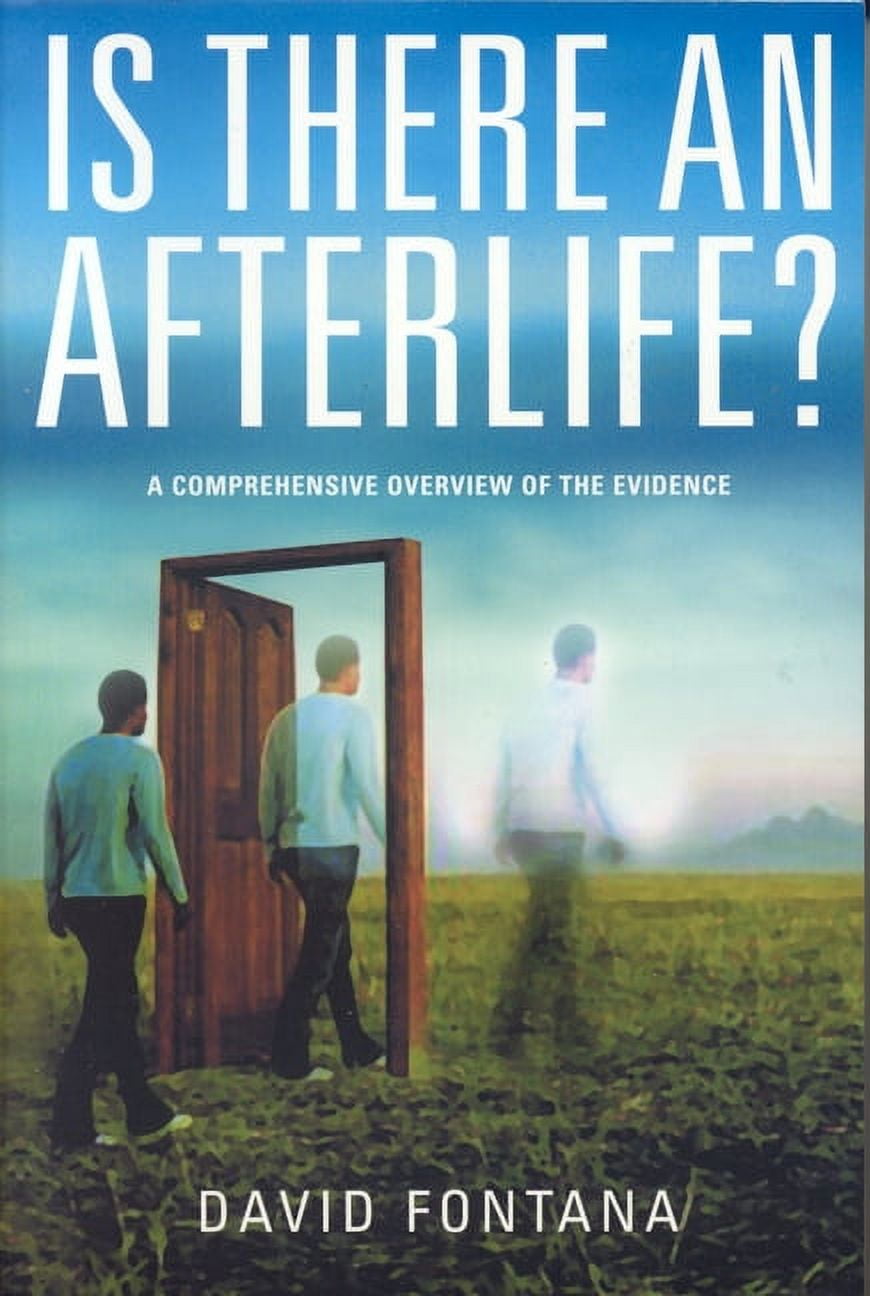 Is There An Afterlife? : A Comprehensive Overview of the Evidence  (Paperback) - Walmart.com
