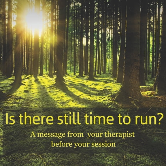 Is there still time to run? : A message from your therapist before your session (Paperback)