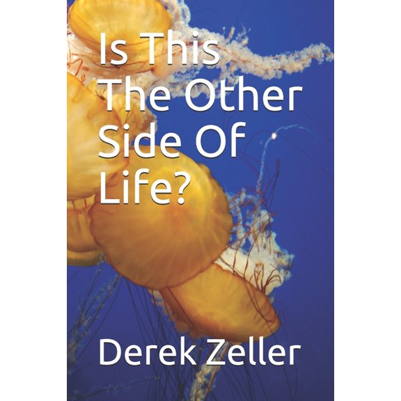 Is this the Other Side of Life?: Derek Zeller (Paperback)