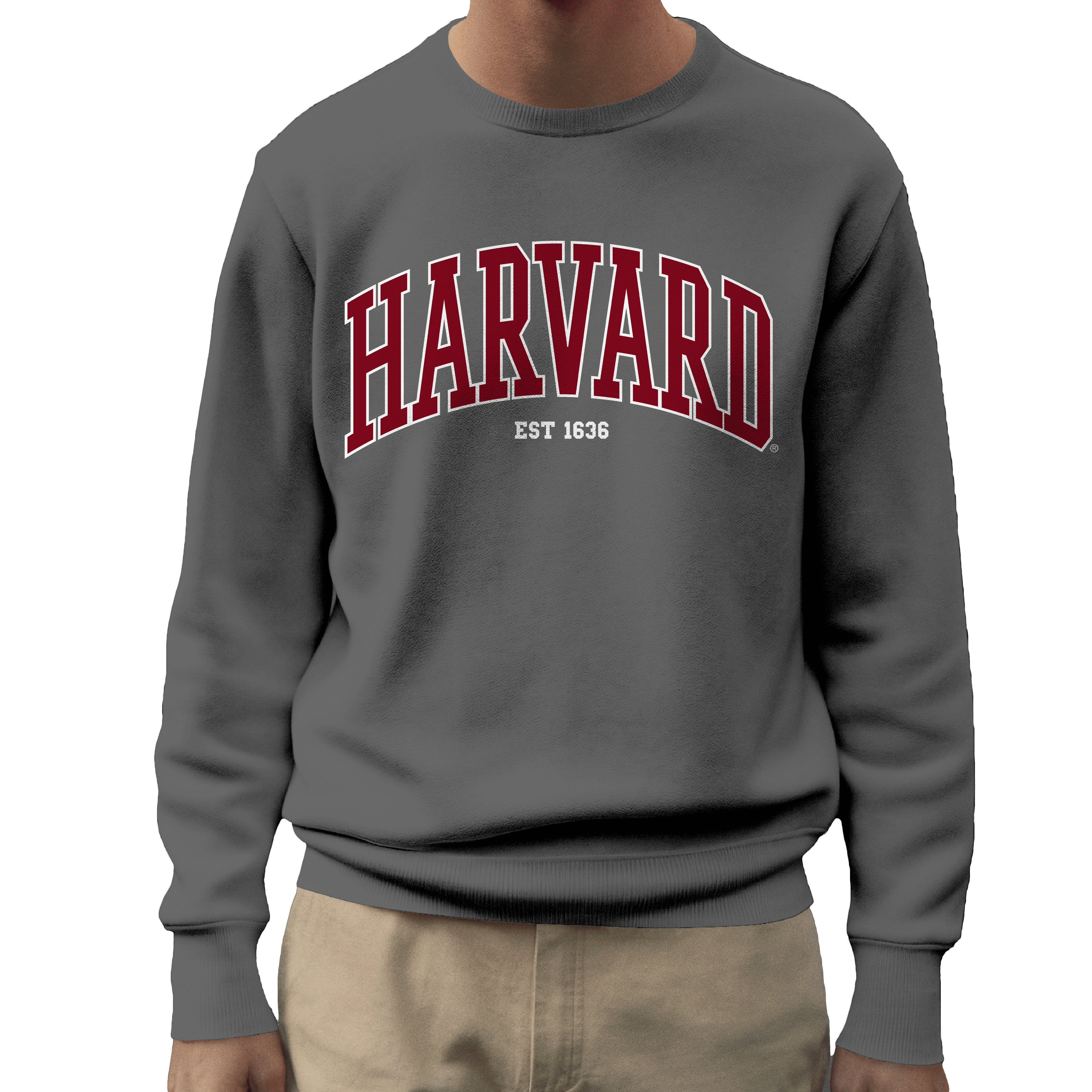 Gray harvard shop sweatshirt